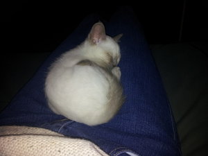 2013-03-01 20.33.36.jpg