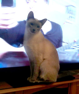 2013-03-17 18.17.27.jpg