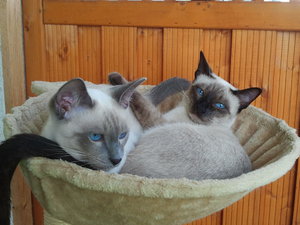 2012-09-23 15.05.57.jpg