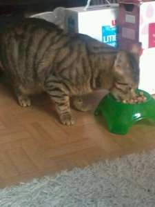 2013-05-04_14.51.36 (1).jpg