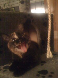 IMG_0999 - Kopie.JPG