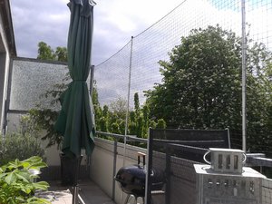 20130510_124357.jpg