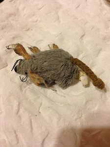 ImageUploadedByTapatalk 21368215874.434926.jpg