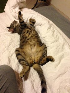 ImageUploadedByTapatalk 21368254364.253936.jpg