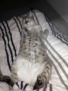 ImageUploadedByTapatalk 21368346566.945894.jpg