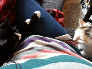 20130417_185247 (1).jpg