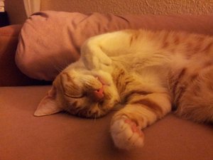 uploadfromtaptalk1368946976749.jpg uploadfromtaptalk1368946976749.jpg