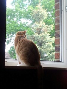 uploadfromtaptalk1368949157841.jpg uploadfromtaptalk1368949157841.jpg