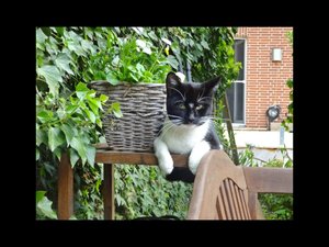 ImageUploadedByTapatalk 21369078569.607248.jpg