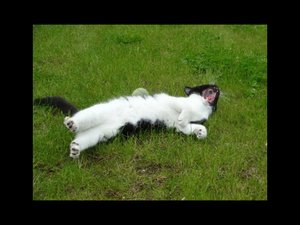 ImageUploadedByTapatalk 21369078606.950682.jpg