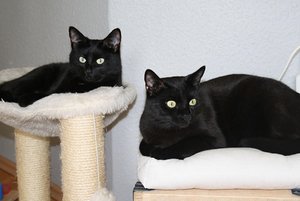 ImageUploadedByTapatalk 21369078941.461283.jpg