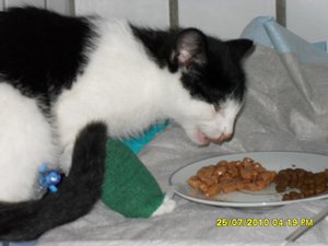 mütze 001 [800x600].jpg