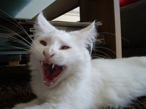 IMGP3572_Größe ändern.JPG