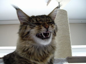 IMGP3585_Größe ändern.JPG