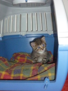 18.07.2010 3 Wochen 016.jpg