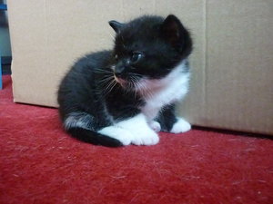 18.07.2010 3 Wochen 006.jpg