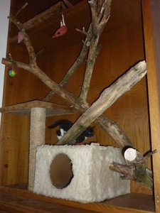 28.07.2010 4 Wochen alt 043.jpg