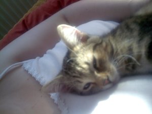 Cid schmust mit Mama.jpg