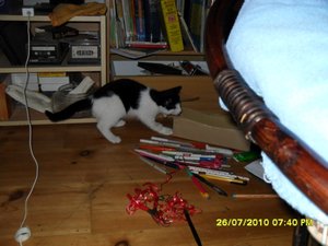 Mütze 2 [800x600].jpg