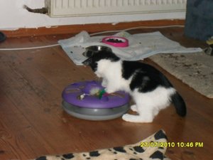 Mütze 15 [800x600].jpg