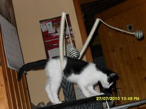 Mütze 22 [800x600].jpg