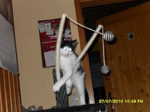 Mütze 23 [800x600].jpg