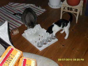 Mütze 28 [800x600].jpg