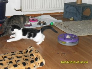 Mütze 32 [800x600].jpg