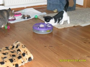 Mütze 36 [800x600].jpg