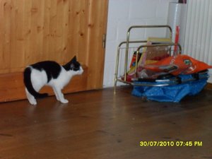 Mütze 37 [800x600].jpg