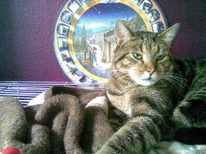 Kopie von Bild02.jpg