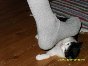 Mütze 29 [800x600].jpg