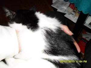 neue Mütze 001 [800x600].jpg