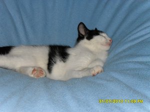 neue Mütze 009 [800x600].jpg