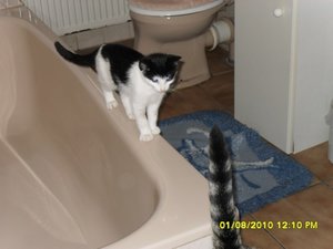 neue Mütze 018 [800x600].jpg