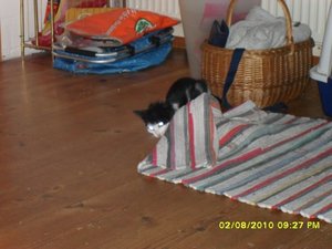 neue Mütze 033 [800x600].jpg