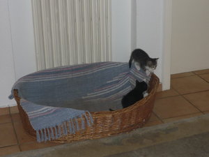 erster Ausflug in die große Welt 009.jpg erster Ausflug in die große Welt 009.jpg