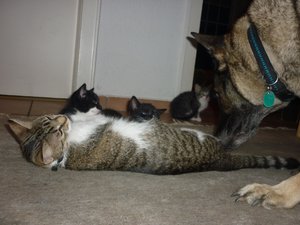 erster Ausflug in die große Welt 031.jpg erster Ausflug in die große Welt 031.jpg