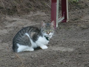 Hochterasse und Beet am Hang 033.jpg Hochterasse und Beet am Hang 033.jpg