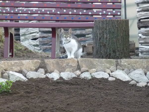Hochterasse und Beet am Hang 035.jpg Hochterasse und Beet am Hang 035.jpg