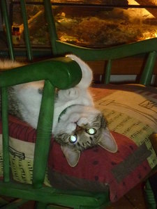 Nahaufnahmen 031.jpg Nahaufnahmen 031.jpg