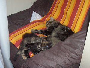 Juhu sie Kuscheln.JPG