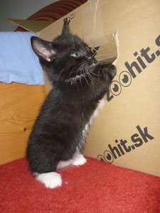 07.08.2010  (6 Wochen) 034.jpg