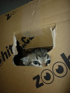 07.08.2010  (6 Wochen) 036.jpg