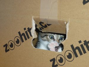 07.08.2010  (6 Wochen) 031.jpg