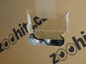 07.08.2010  (6 Wochen) 032.jpg