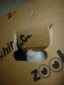 07.08.2010  (6 Wochen) 035.jpg