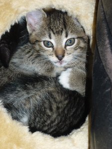 07.08.2010  (6 Wochen) 004.jpg