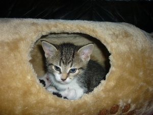 07.08.2010  (6 Wochen) 006.jpg