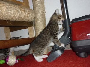 07.08.2010  (6 Wochen) 018.jpg